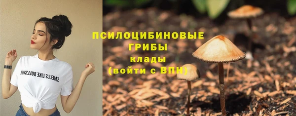 Альфа ПВП Лагань