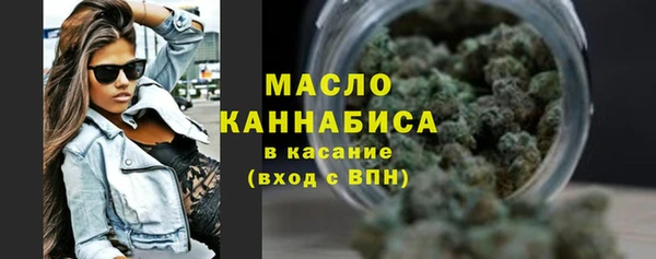 Альфа ПВП Лагань