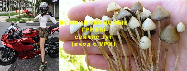 Альфа ПВП Лагань